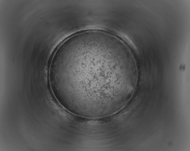 X0000091551268200708241747