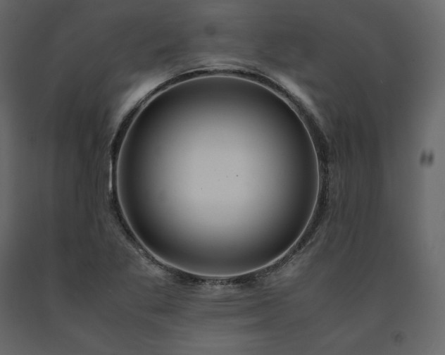 X0000091551269200708241747