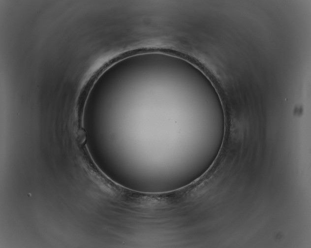 X0000091551270200708241747