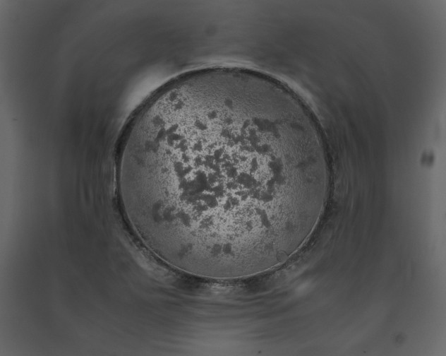 X0000091551271200708241747
