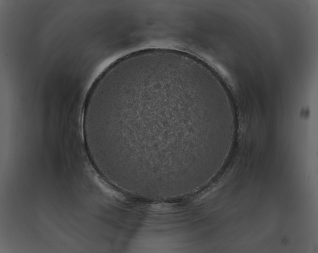 X0000091551272200708241747