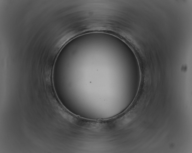 X0000091551273200708241747