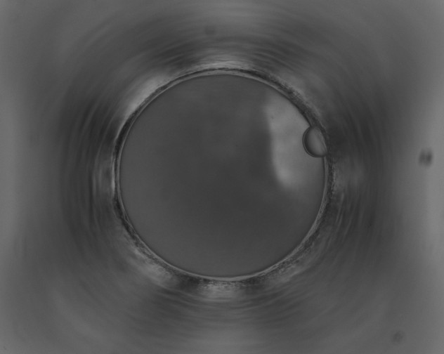 X0000091551274200708241747