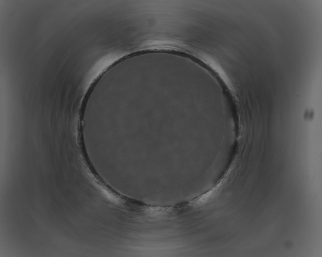 X0000091551277200708241747