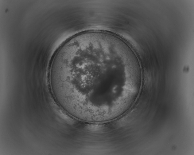 X0000091551278200708241747