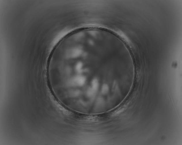 X0000091551279200708241747