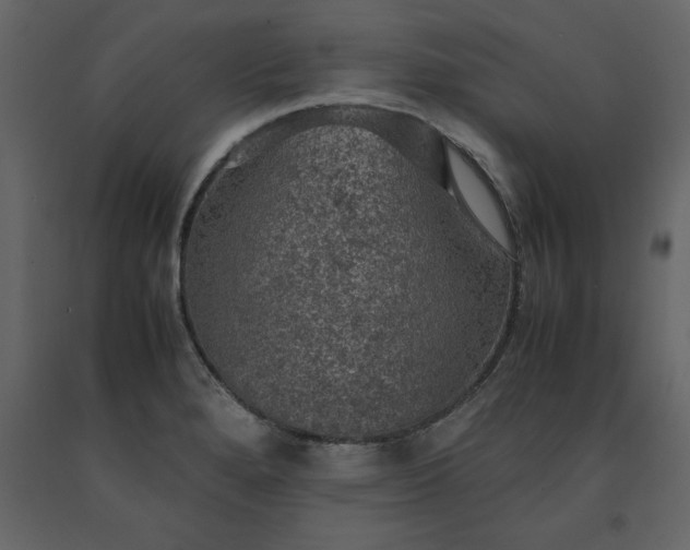 X0000091551280200708241747