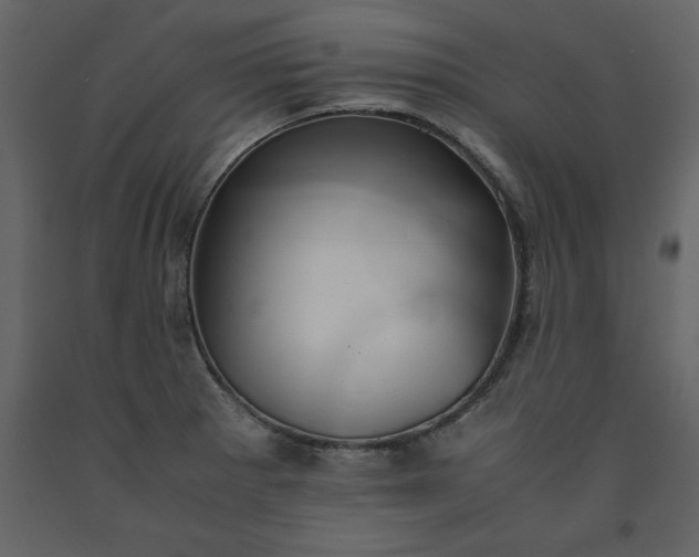 X0000091551281200708241747
