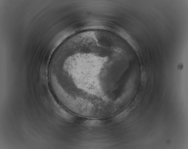 X0000091551282200708241747