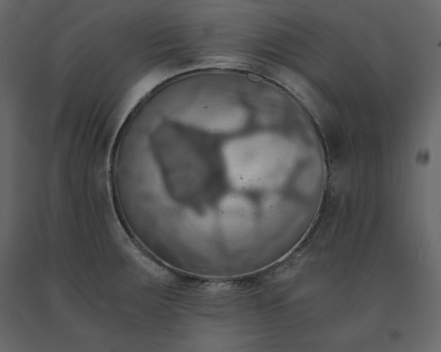 X0000091551283200708241747