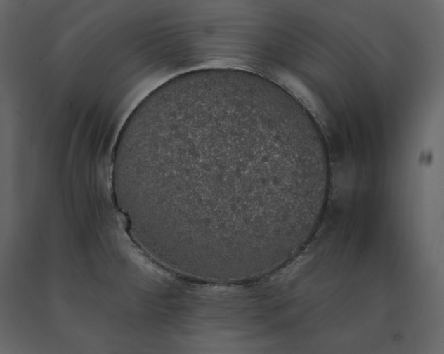 X0000091551284200708241747