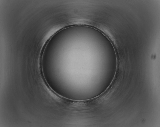 X0000091551285200708241747
