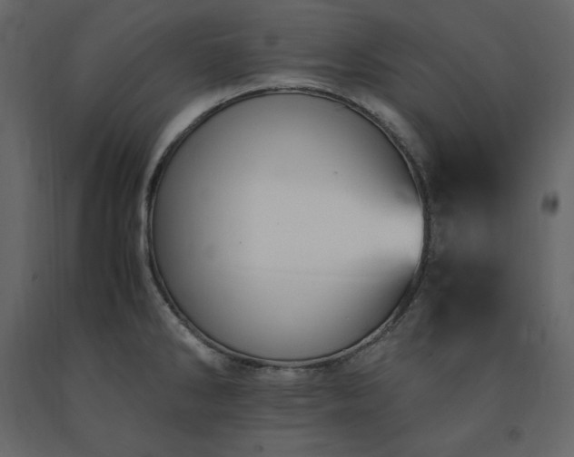 X0000091551286200708241747