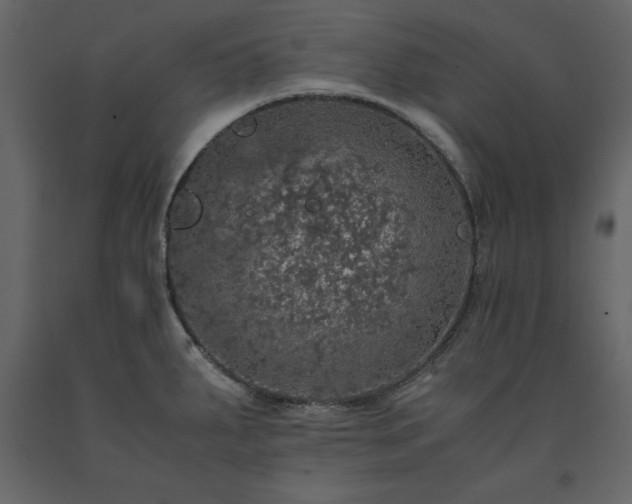X0000091551287200708241747