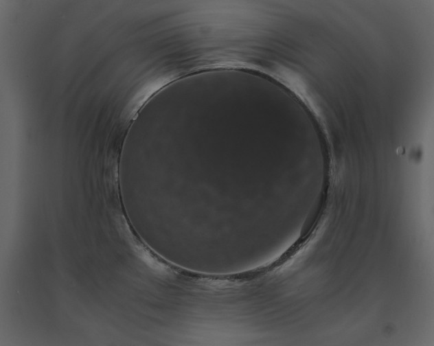 X0000091551289200708241747