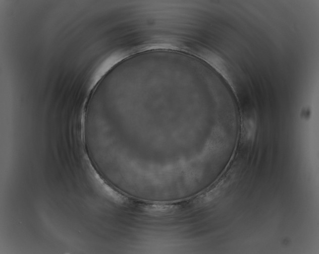 X0000091551290200708241747