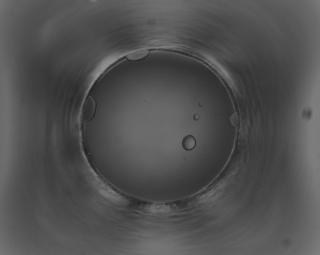 X0000091551291200708241747
