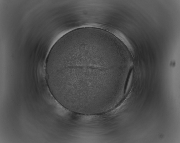 X0000091551292200708241747