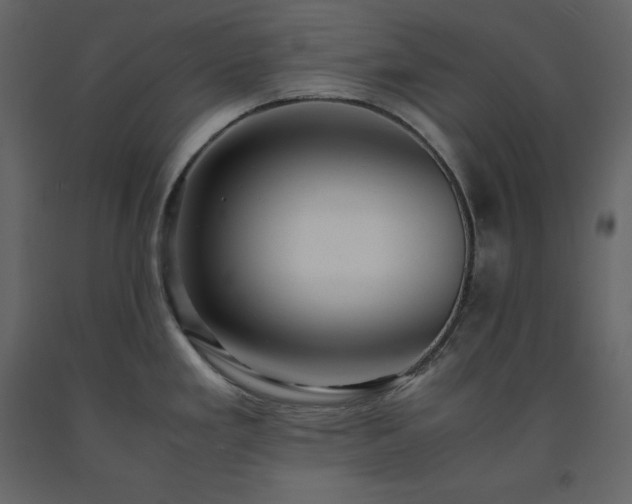 X0000091551293200708241747