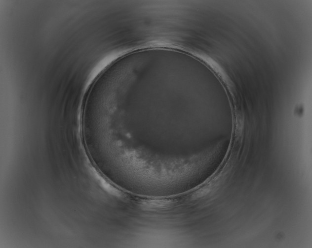 X0000091551294200708241747