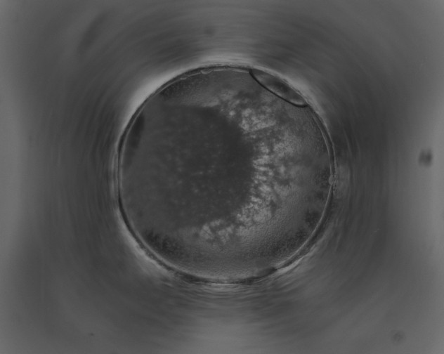 X0000091551295200708241747