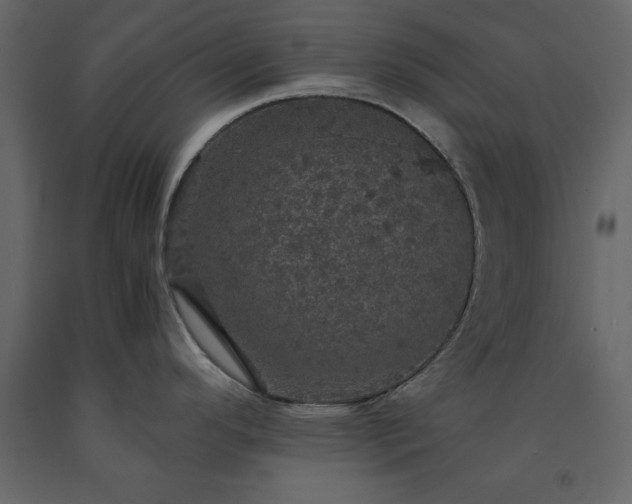 X0000091551296200708241747