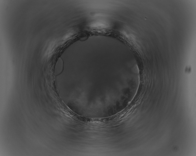 X0000091551297200708241746