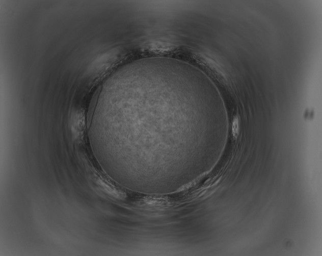 X0000091551299200708241746