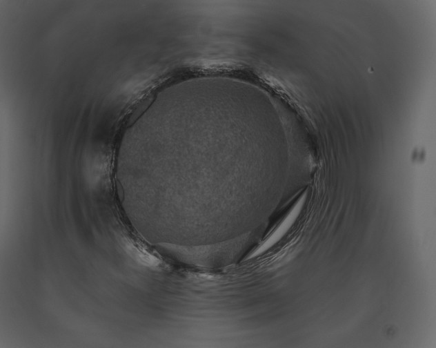 X0000091551300200708241746