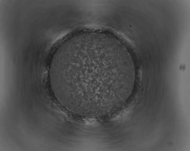 X0000091551302200708241746