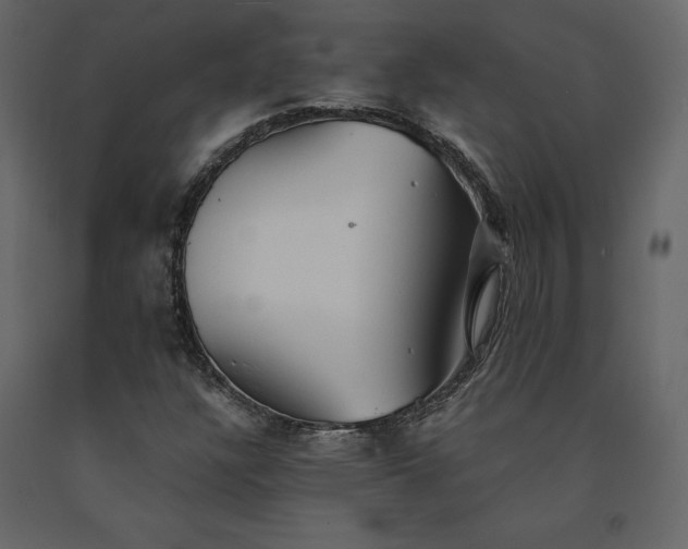 X0000091551304200708241746