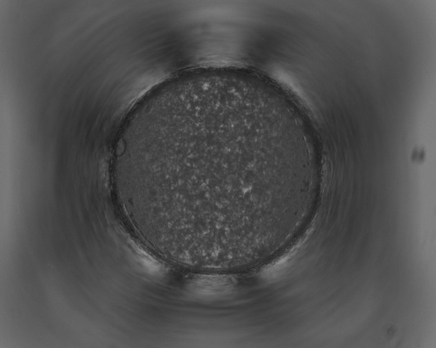 X0000091551305200708241746