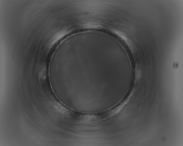 X0000091551306200708241746