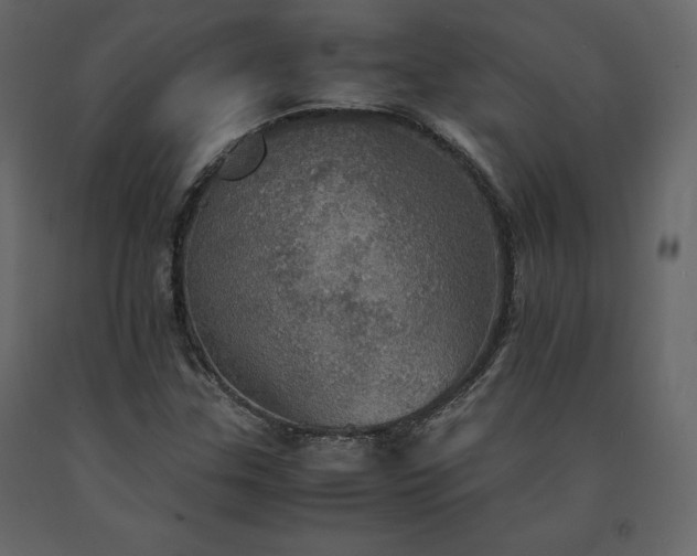X0000091551307200708241746