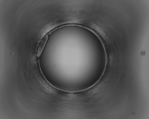 X0000091551308200708241746