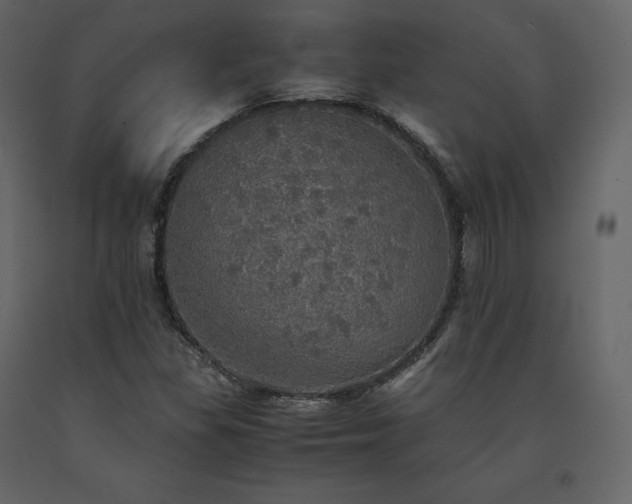 X0000091551309200708241746