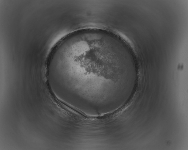 X0000091551310200708241746