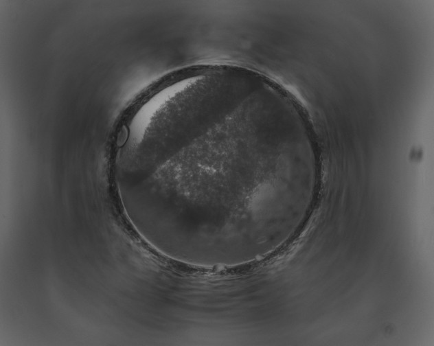 X0000091551311200708241746