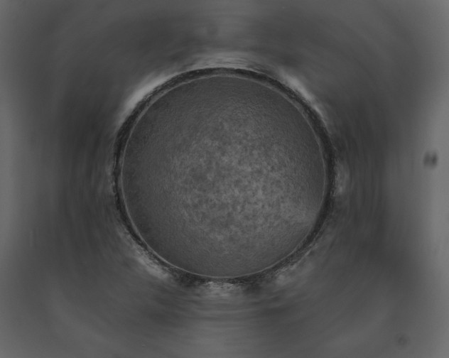 X0000091551312200708241746