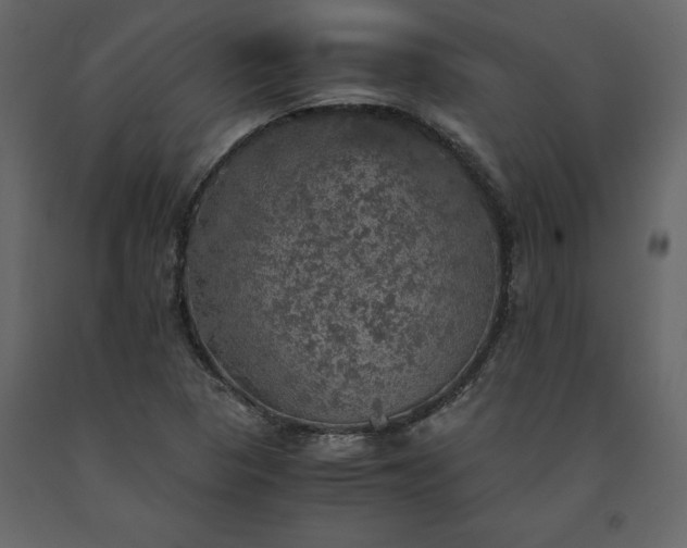 X0000091551313200708241746