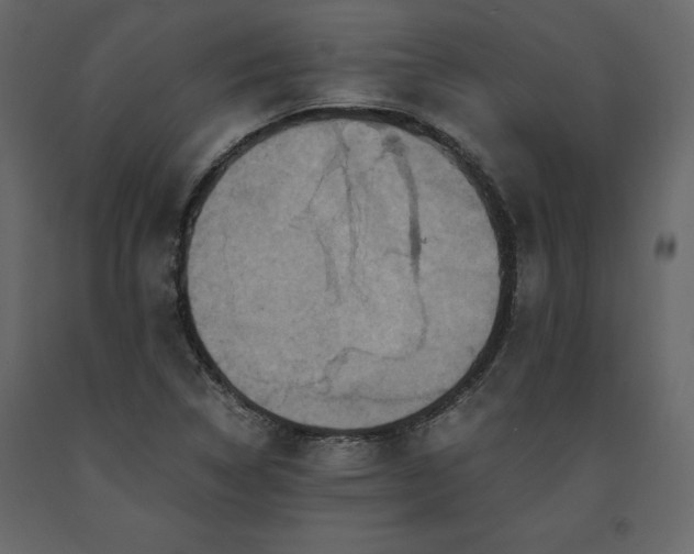 X0000091551314200708241746