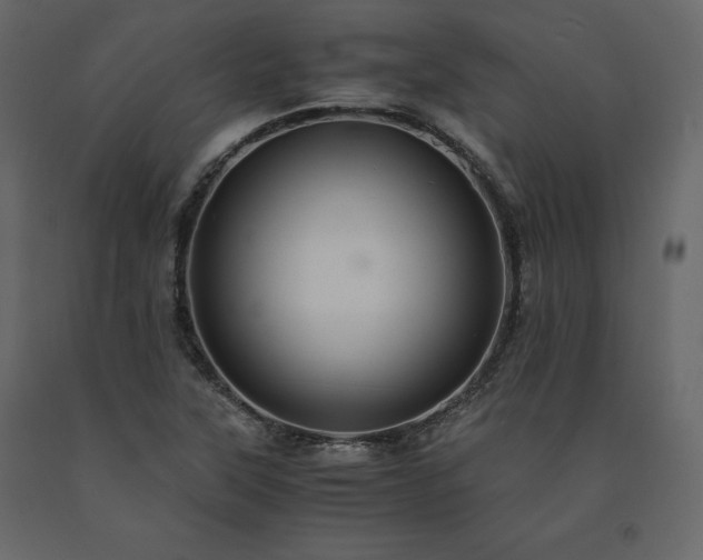 X0000091551315200708241746