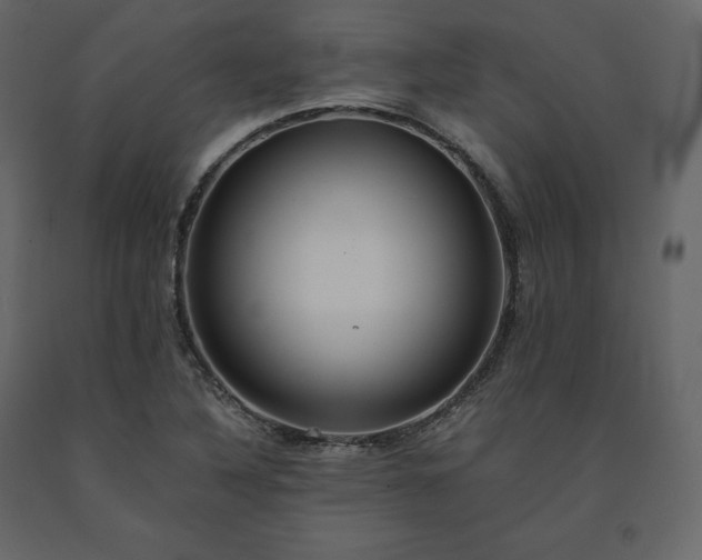X0000091551316200708241746