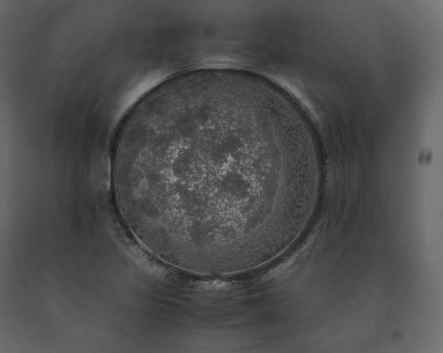 X0000091551317200708241746