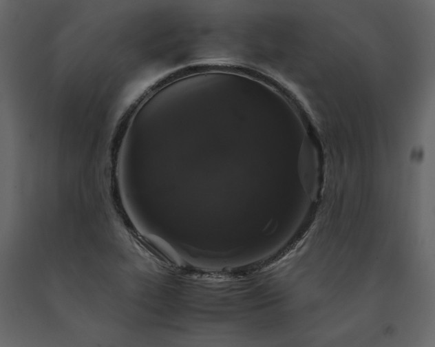 X0000091551319200708241747