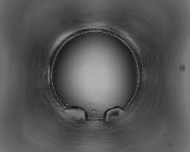 X0000091551320200708241747