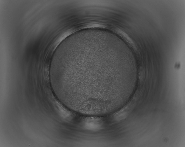 X0000091551321200708241747