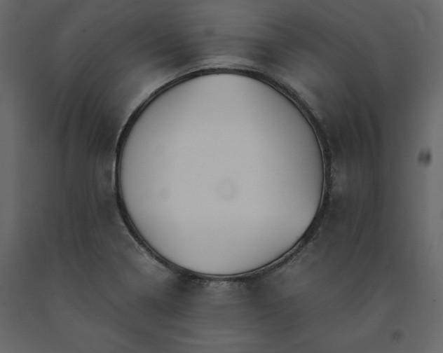 X0000091551322200708241747
