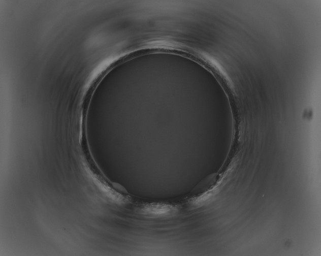 X0000091551323200708241747