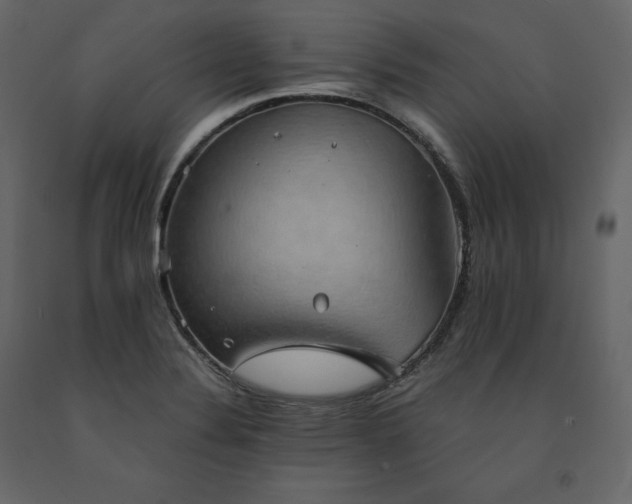 X0000091551324200708241747